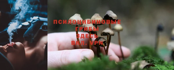 таблы Арсеньев