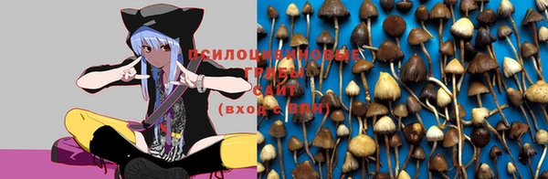таблы Арсеньев