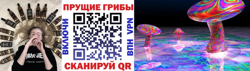 Галлюциногенные грибы Psilocybine cubensis  Рассказово 